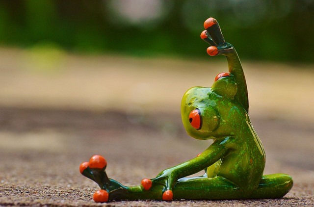 Ein einzelner Frosch beim Dehnen vor dem Sport von hinten.